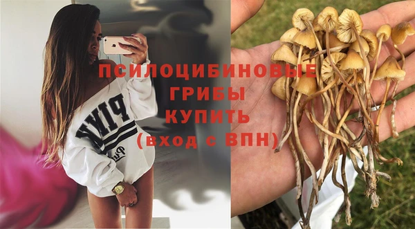 бошки Армянск