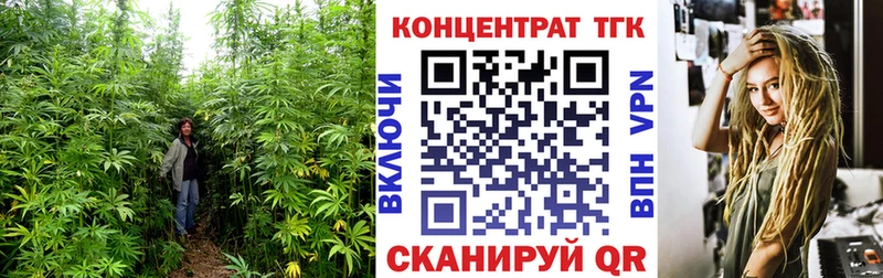 где можно купить   Руза  ТГК жижа 