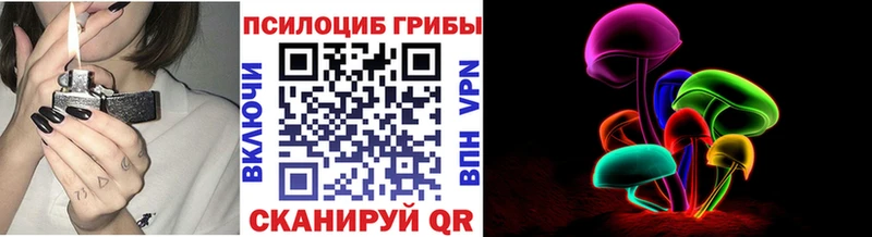 закладки  Руза  Псилоцибиновые грибы мухоморы 