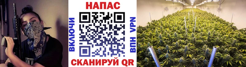 Бошки Шишки ГИДРОПОН  Руза 